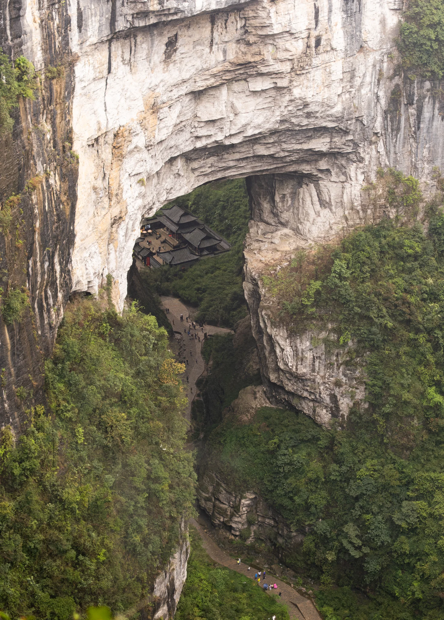 DSCF7844.webp