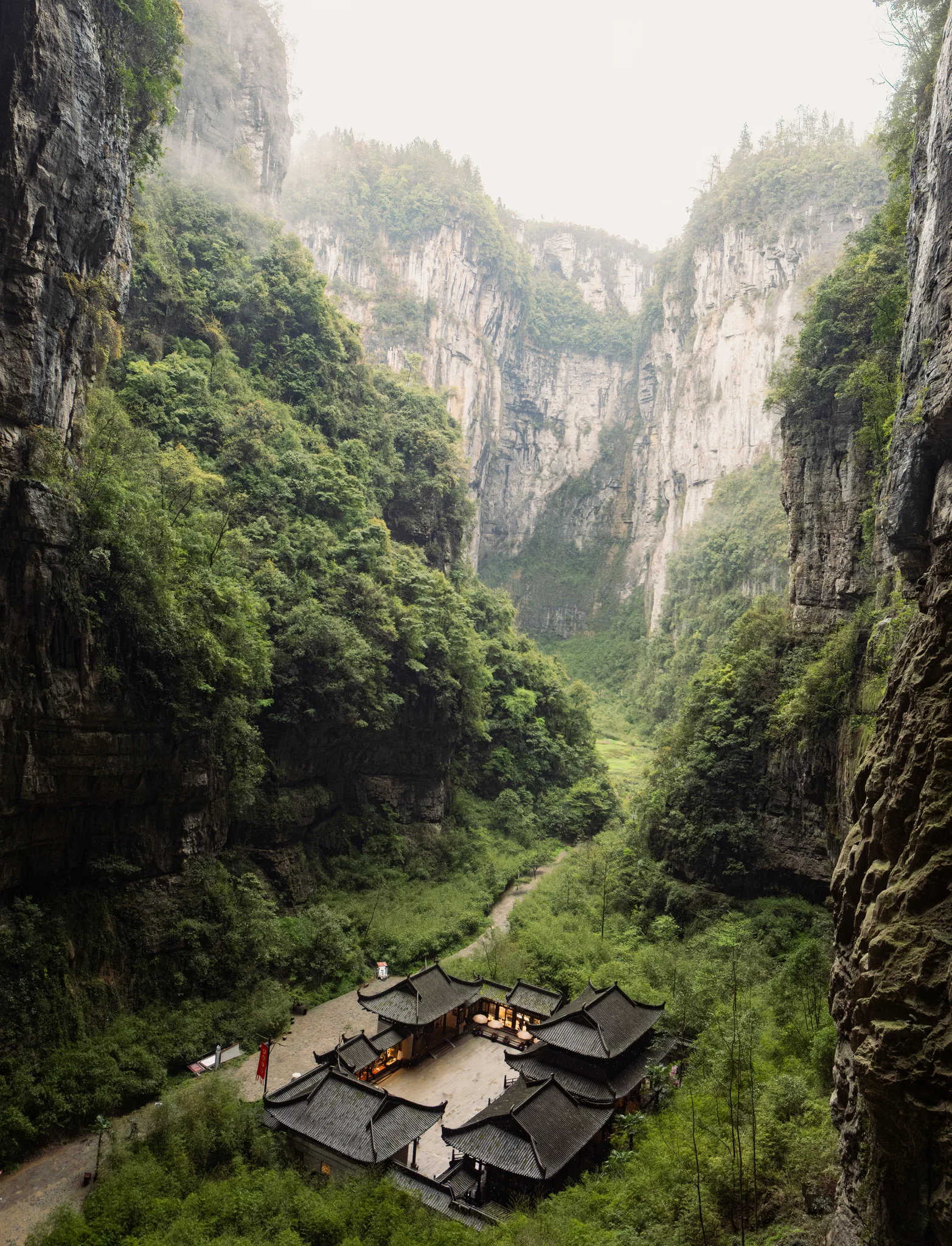 DSCF7872.webp