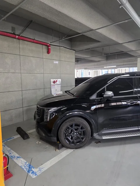 진짜 카니발은 뭐 있나요..98