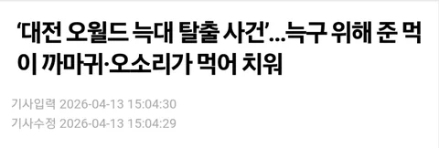 [유머]대전 탈출 늑대 늑구가 굶을까봐 챙겨준 먹이 근황