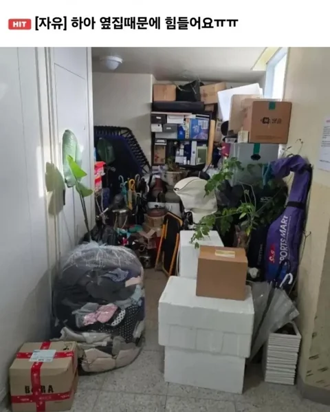 개인사유지로 둔갑한 공동현관