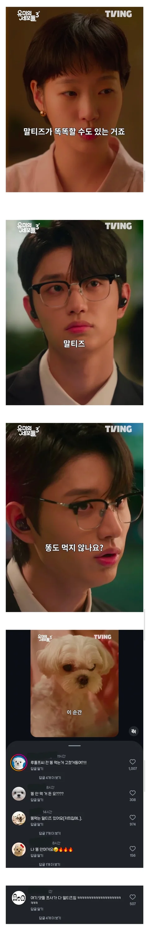 [유머]유미의 세포들 보고 전부 긁혀버린 전국 말티즈들