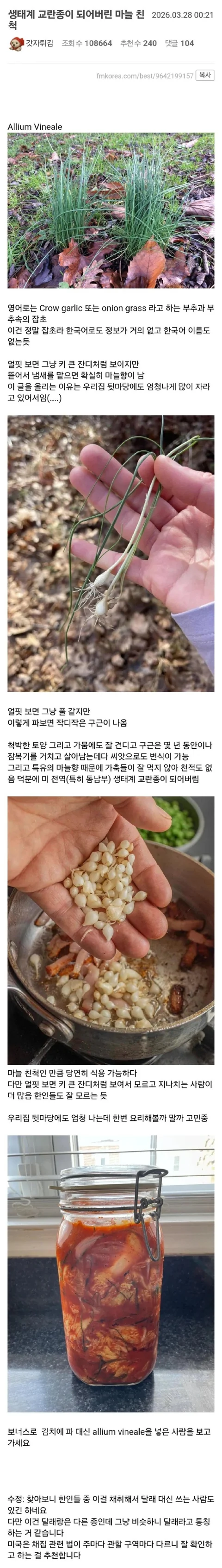 한국인에게 잘못 걸린 생태계 교란종