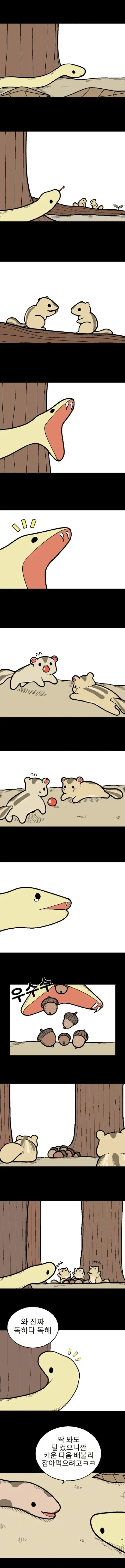 [유머]마음 여린 뱀 manhwa.