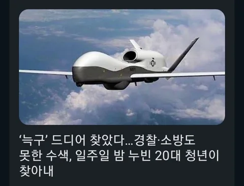 [유머]대전 탈출 늑대인 늑구 기사보고 개웃었네 ㅋㅋㅋㅋ