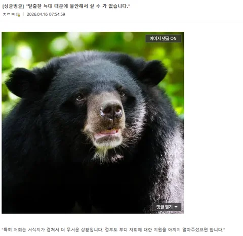 "탈출한 늑대 때문에 불안해서 살 수 가 없습니다."