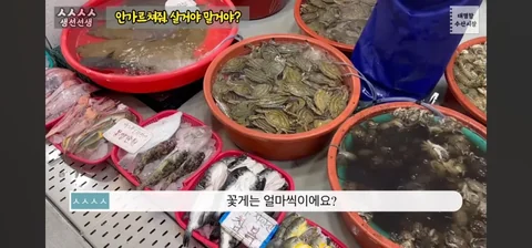 [유머]수산 시장에서 가격을 물어보면 돌아오는 답변.jpg