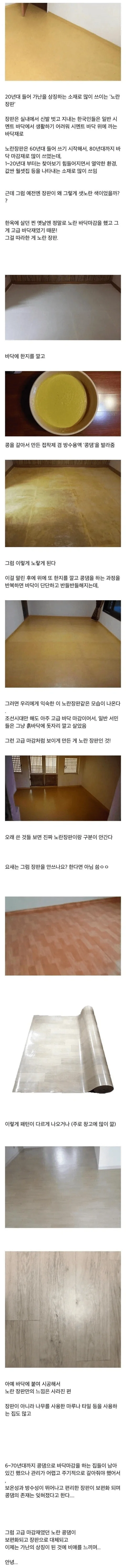 [유머]가난의 상징이 된 노란장판의 비밀