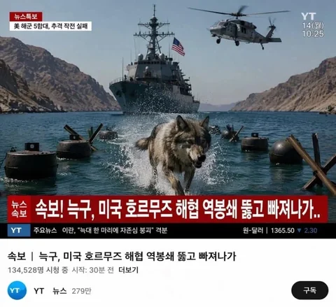 [유머]늑구 근황.jpg