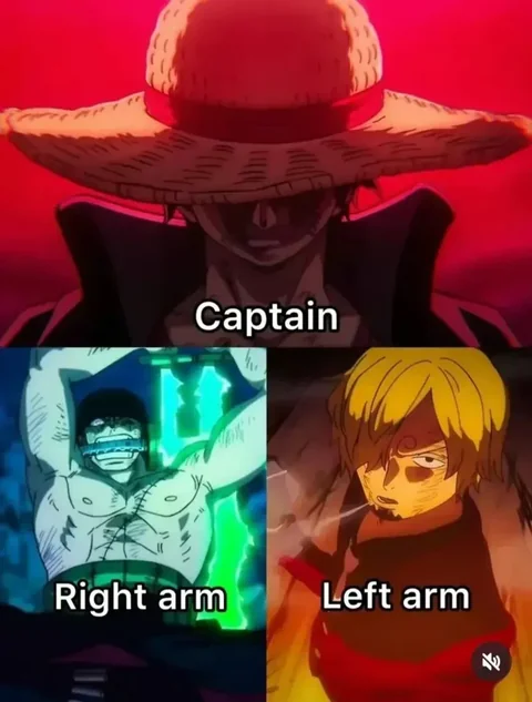 [유머]원피스에 나오는 선장 왼팔과 오른팔...jpg