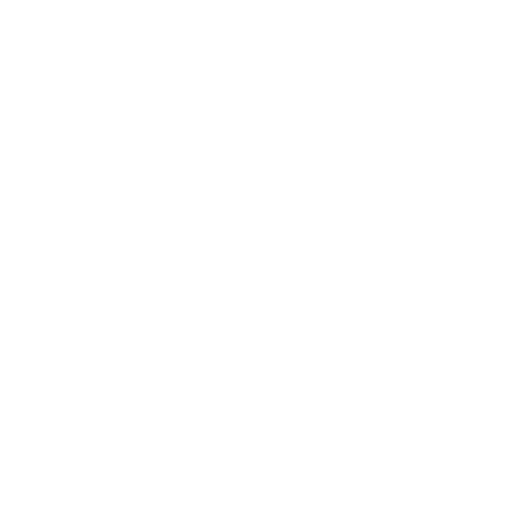 Braintech PC