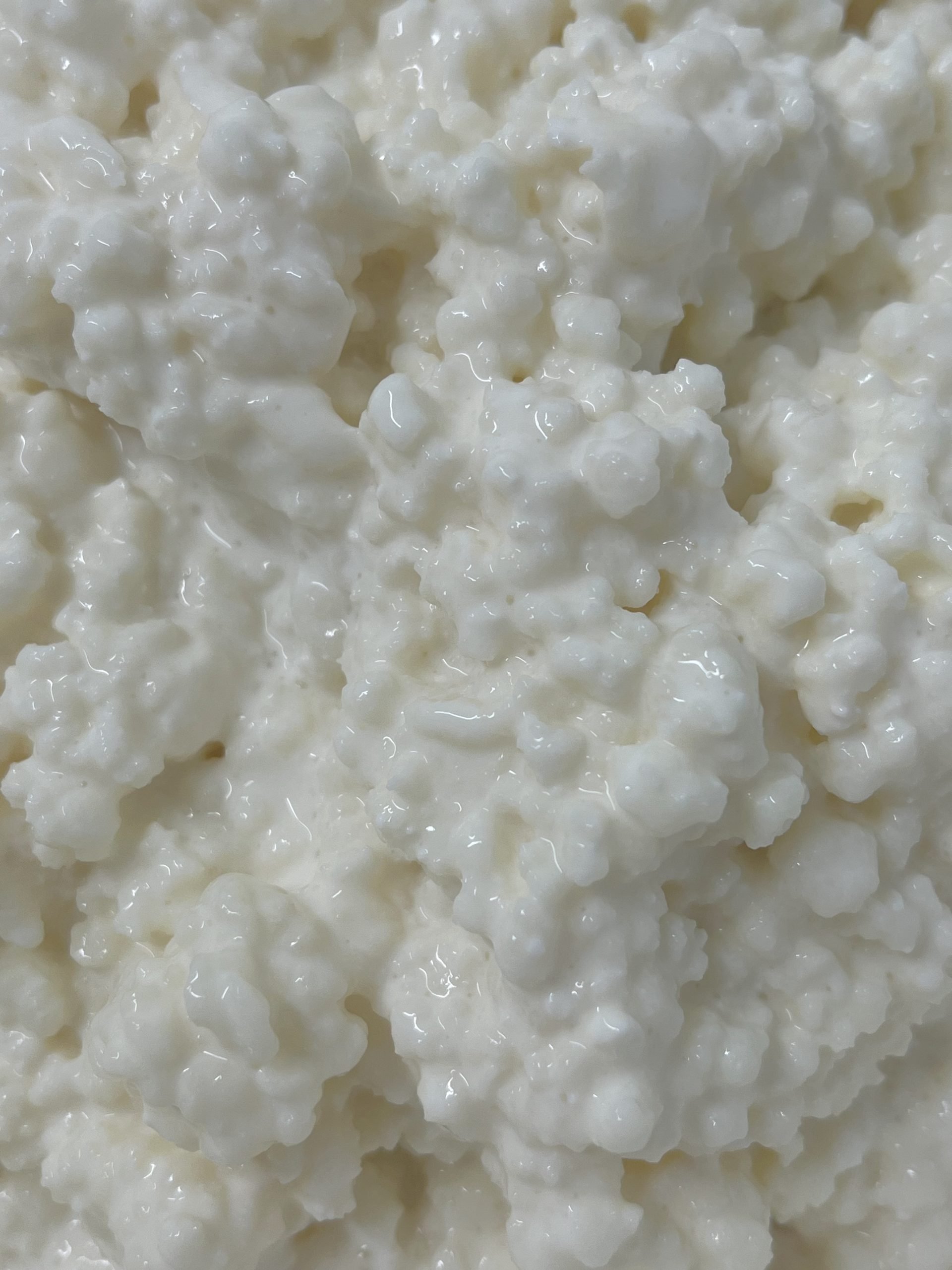 Locally Sourced Fresh Kefir Delivery