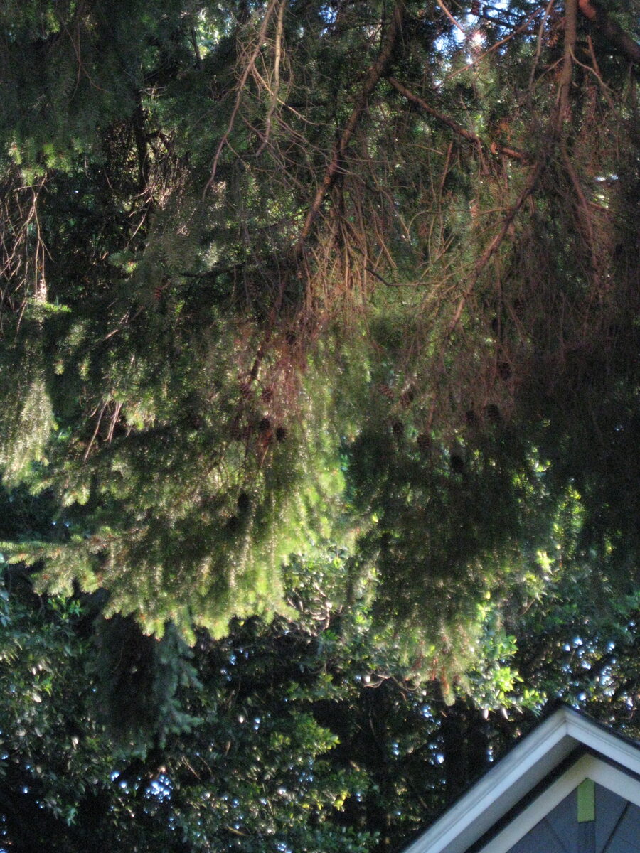 260706200718
