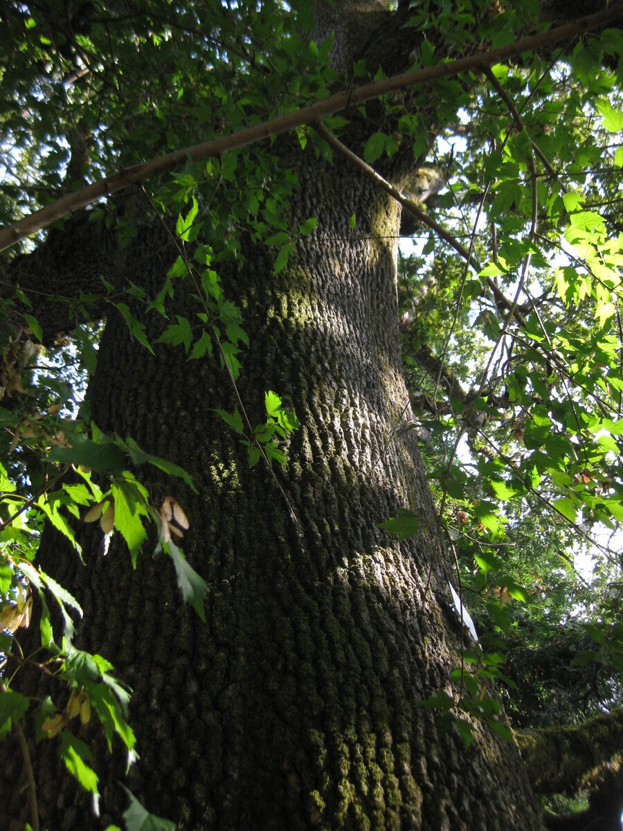 260817172407