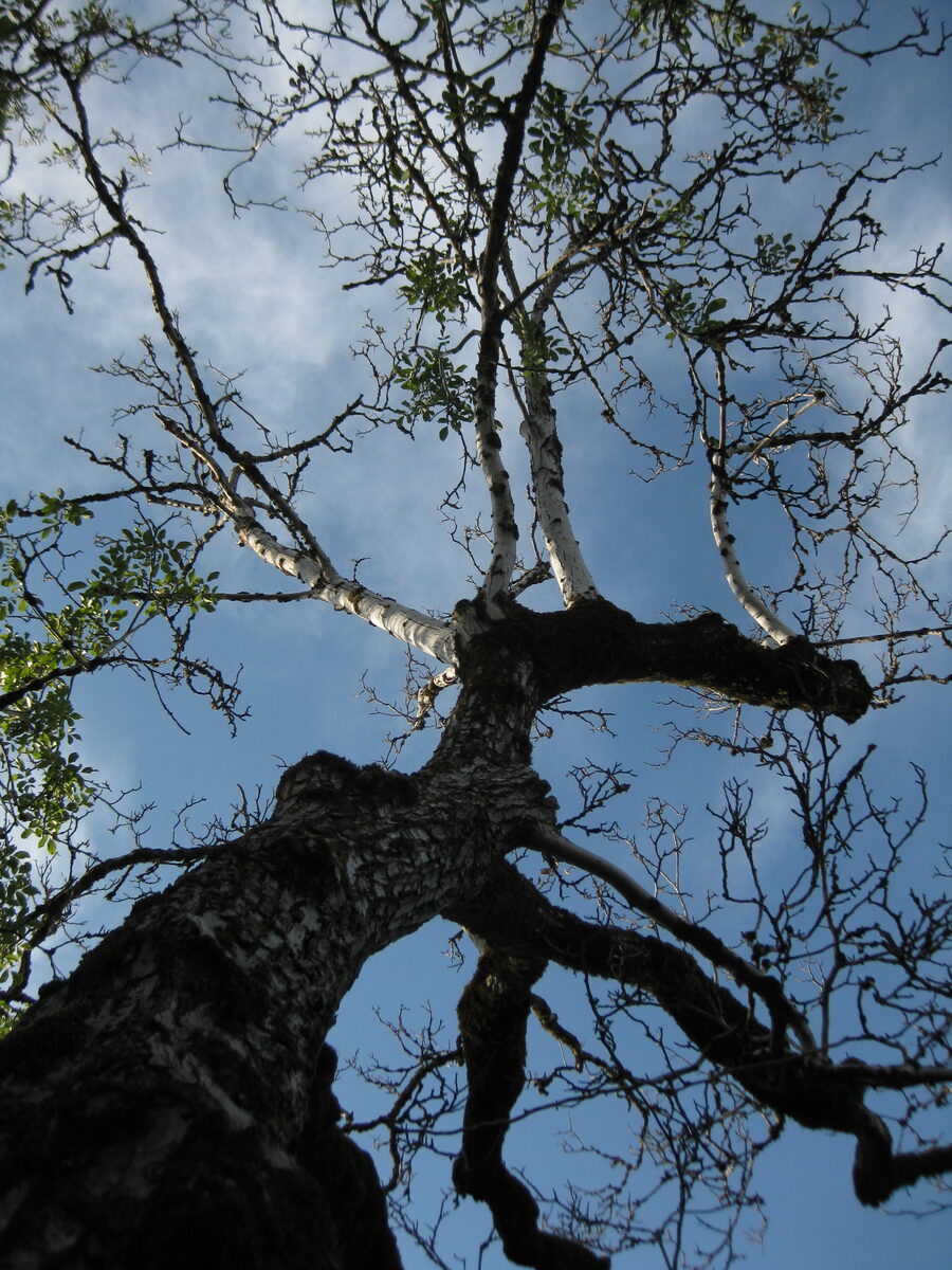 260817180439