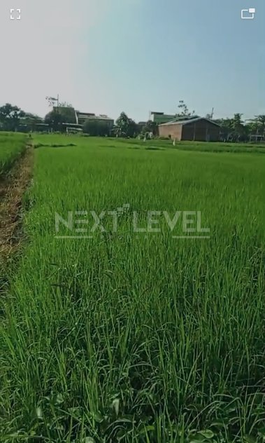 Tanah Sawah Strategis Pinggir Jalan Raya Mbamban Tanah Luas 1.600 m² , Kabupaten Malang.NLMLG00012