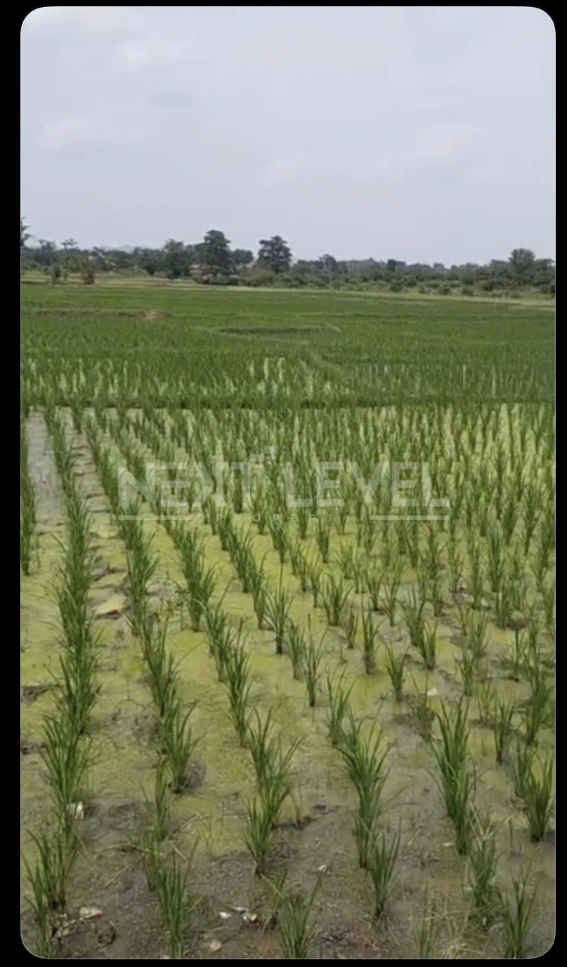 Dijual Tanah strategis dekat Toll dan Bandara Kertajati Majalengka Jawa Barat 18.000M2.MLG00015