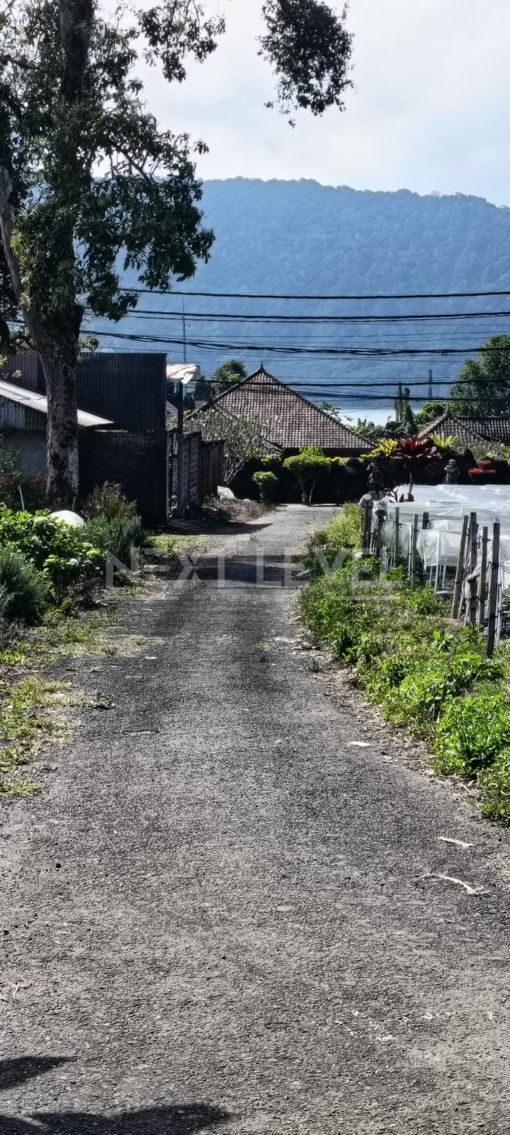 Land for Sale in Tabanan - Bali 