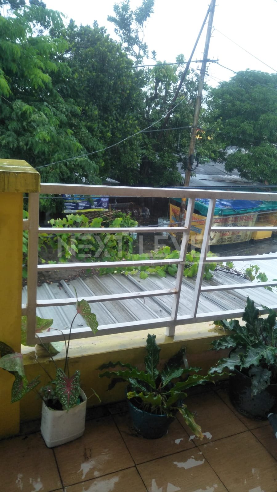 Jual/Sewa Jambangan 
