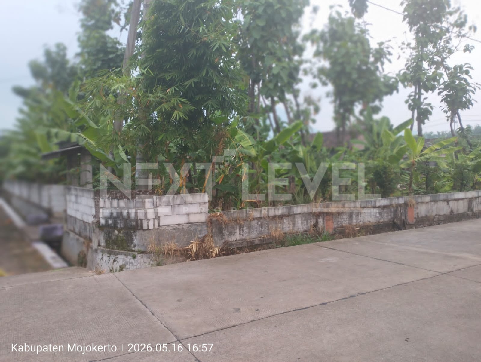 TANAH STRATEGIS CURAHMOJO MOJOKERTO 