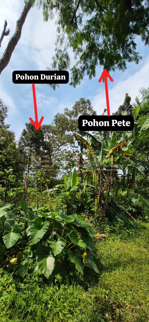 Tanah Perumahan di Malang