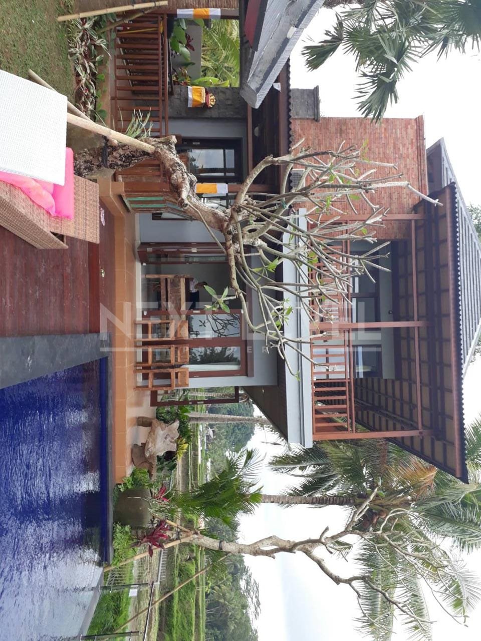 VILLA Lokasi jln. Cinta ubud
