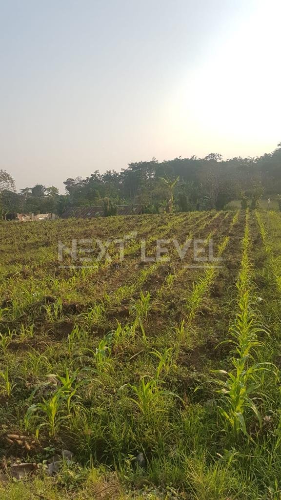 Tanah Strategis 1,5 Hektare di Randuagung Singosari.MLG00041