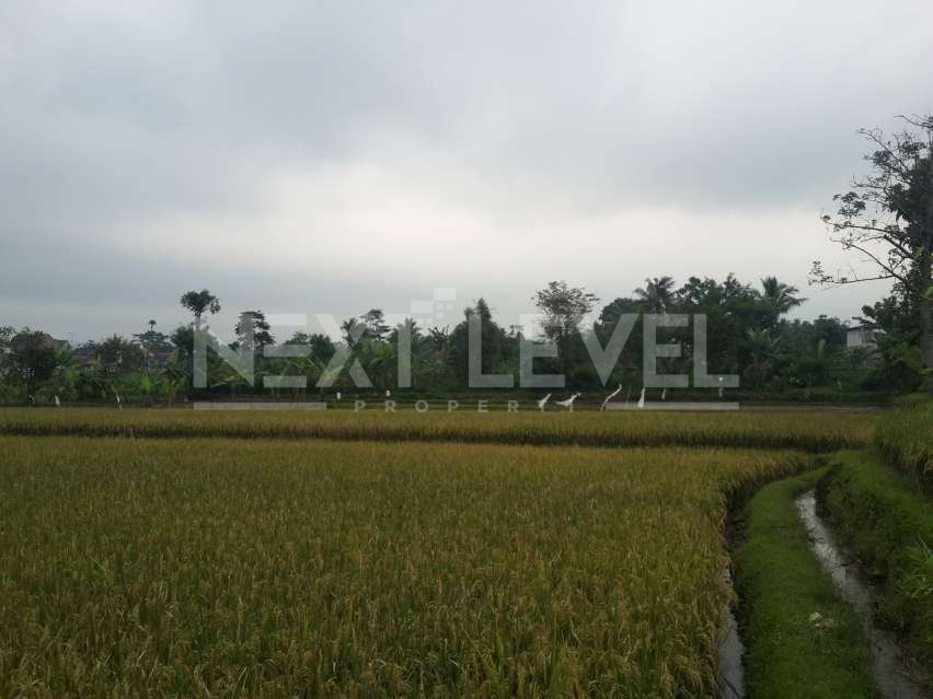 Tanah bakal perumahan di belakang Alfamart Kadudampit Cisaat Sukabumi 