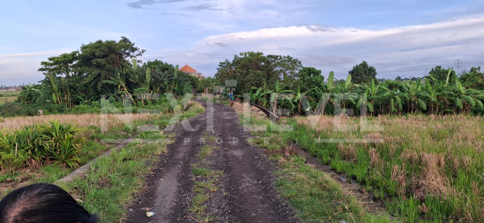 Dijual tanah di utara Kedungu, lingkungan sawah dan villa/perumahan, lokasi dari jalan lingkungan sekitar 80 meter, 