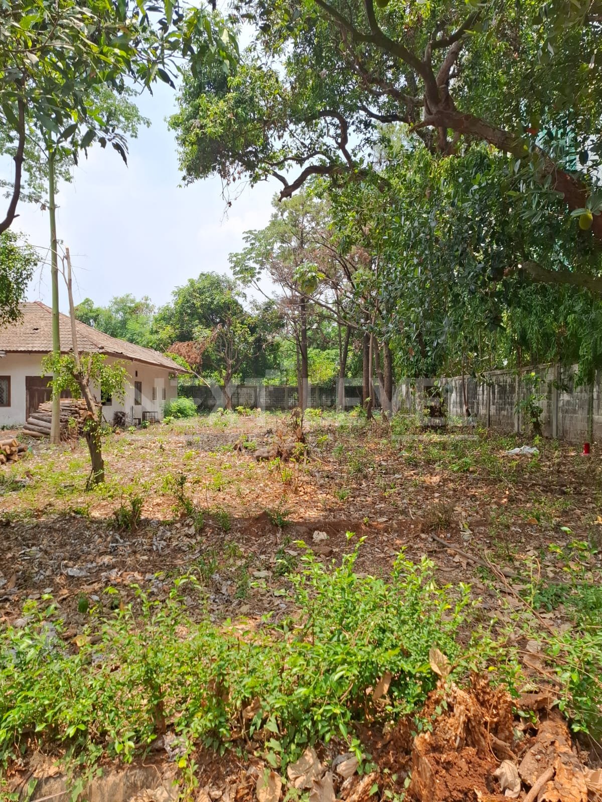 Dijual Kavling Komersil Lokasi Strategis Di Kalibata Jakarta Selatan