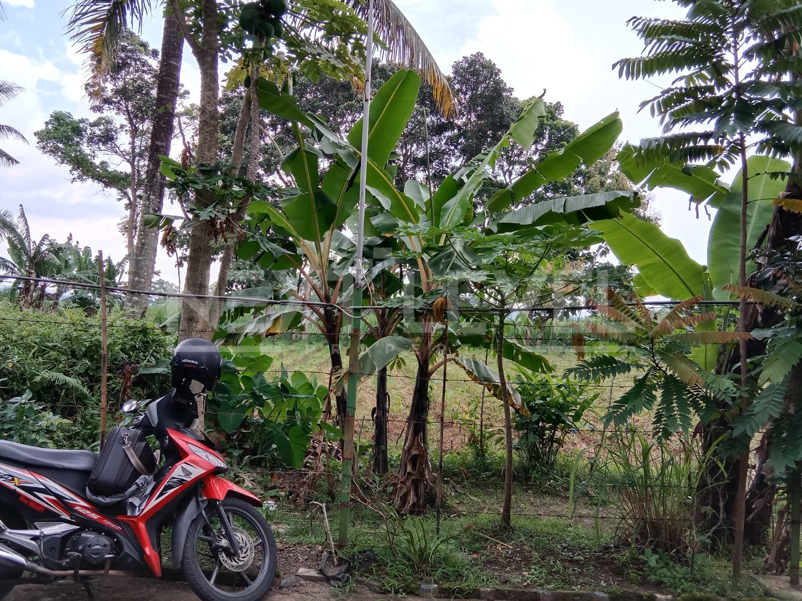 Tanah Strategis 728 m² di Watugede Singosari. Dekat Exit Tol Singosari, Jalan Raya Malang – Surabaya, Kawasan Industri Singosari, Pasar Singosari, Terminal Singosari, Stasiun Singosari. MLG00080