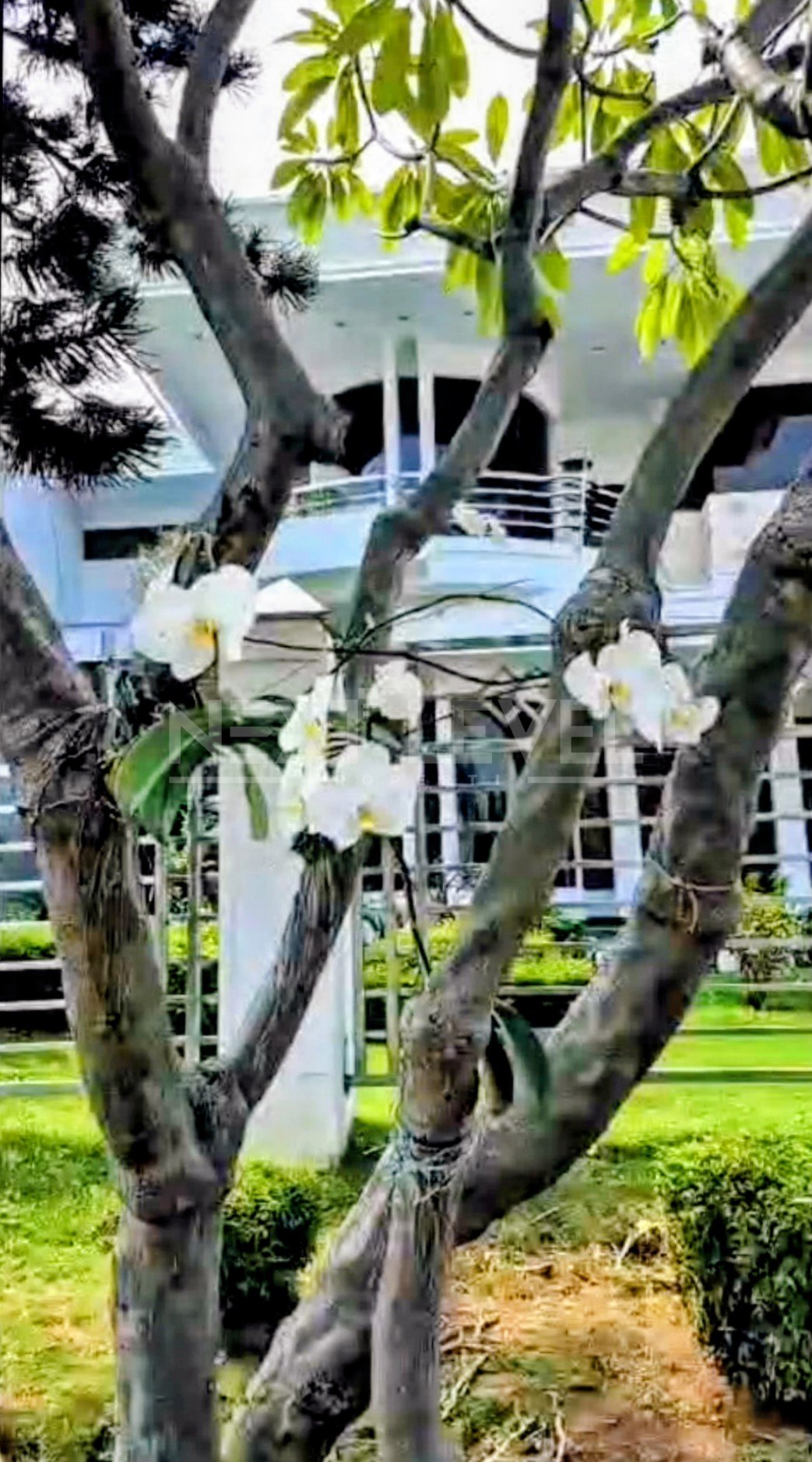 Rumah mewah Araya Surabaya