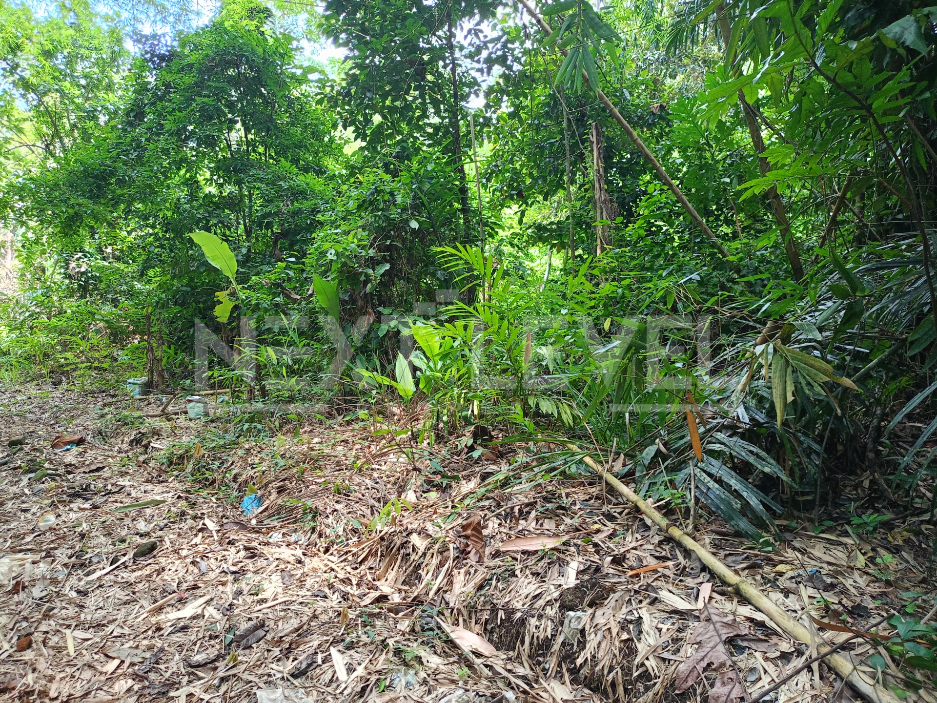 Land for leasehold 
