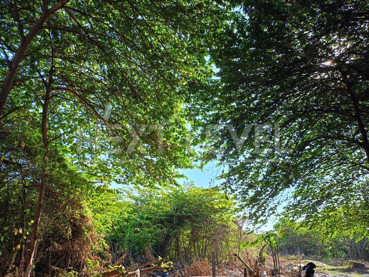 Land pink zone for leasehold in Seminyak 