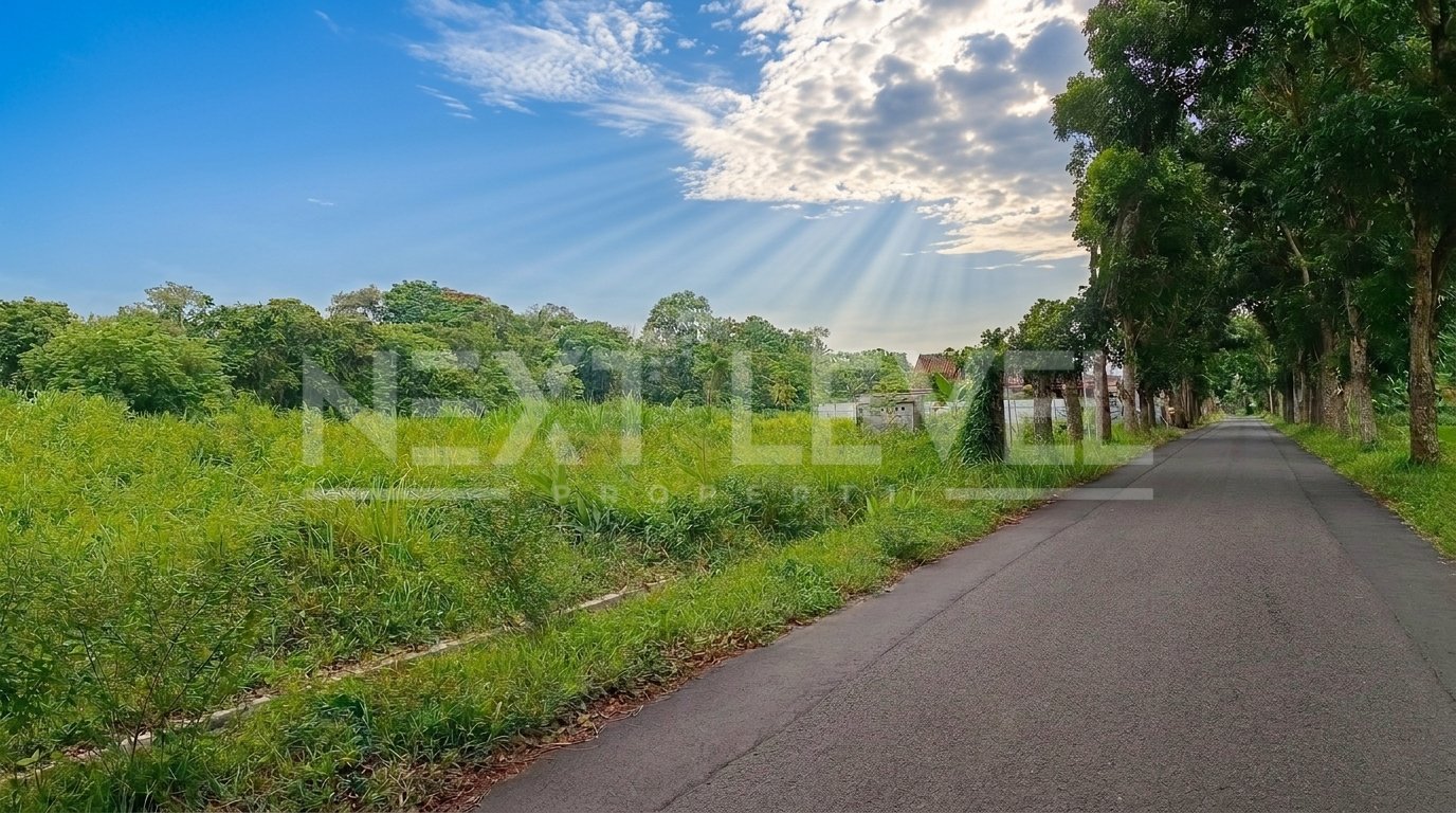 Dijual Tanah Pekarangan