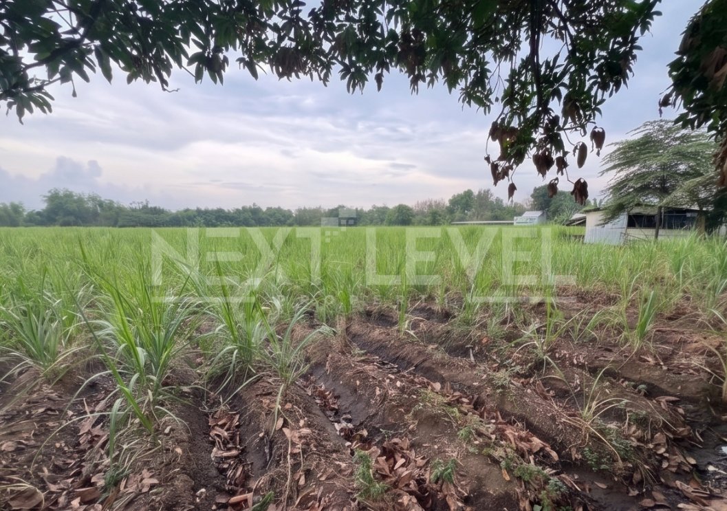 Tanah SHM Nol Jl Raya Mojokerto Cocok Untuk Pabrik Perumahan