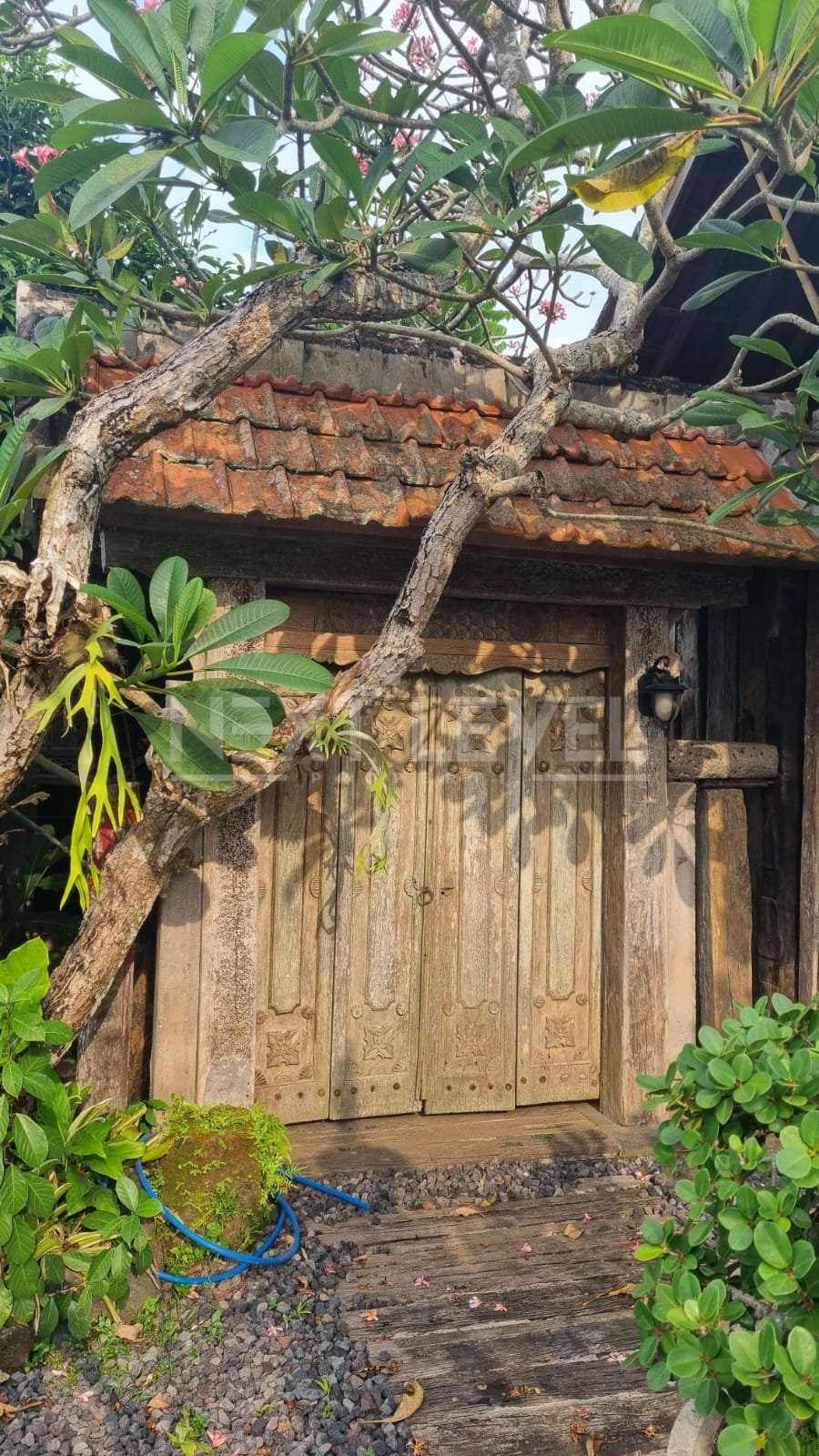Disewakan 1 unit rumah joglo 1 BedRoom