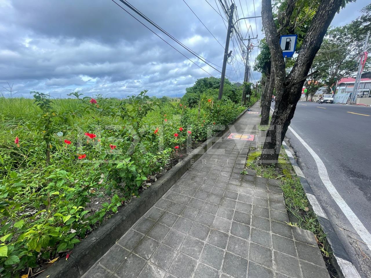 TANAH PREMIUM DIJUAL – SEMPIDI, BADUNG