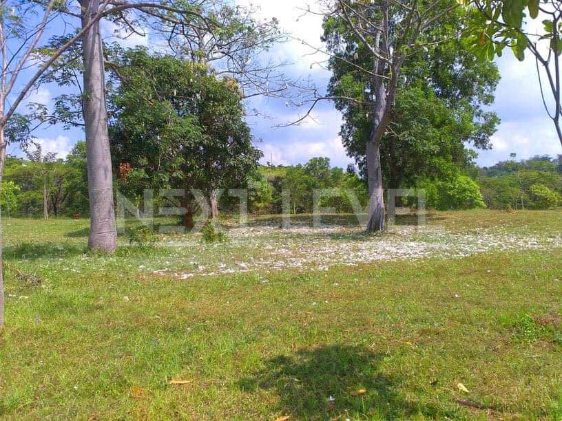 Jual Tanah Taman Dayu 