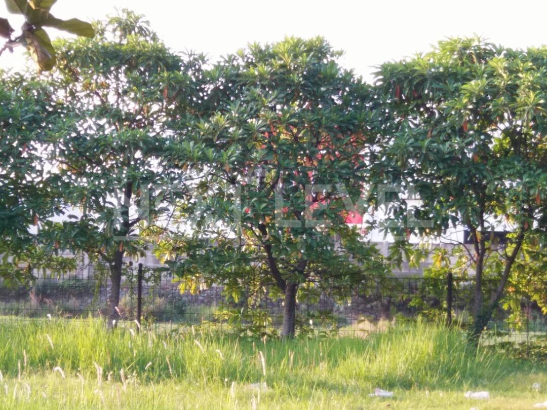 1,440 Ha Land Opportunity in West Karawang