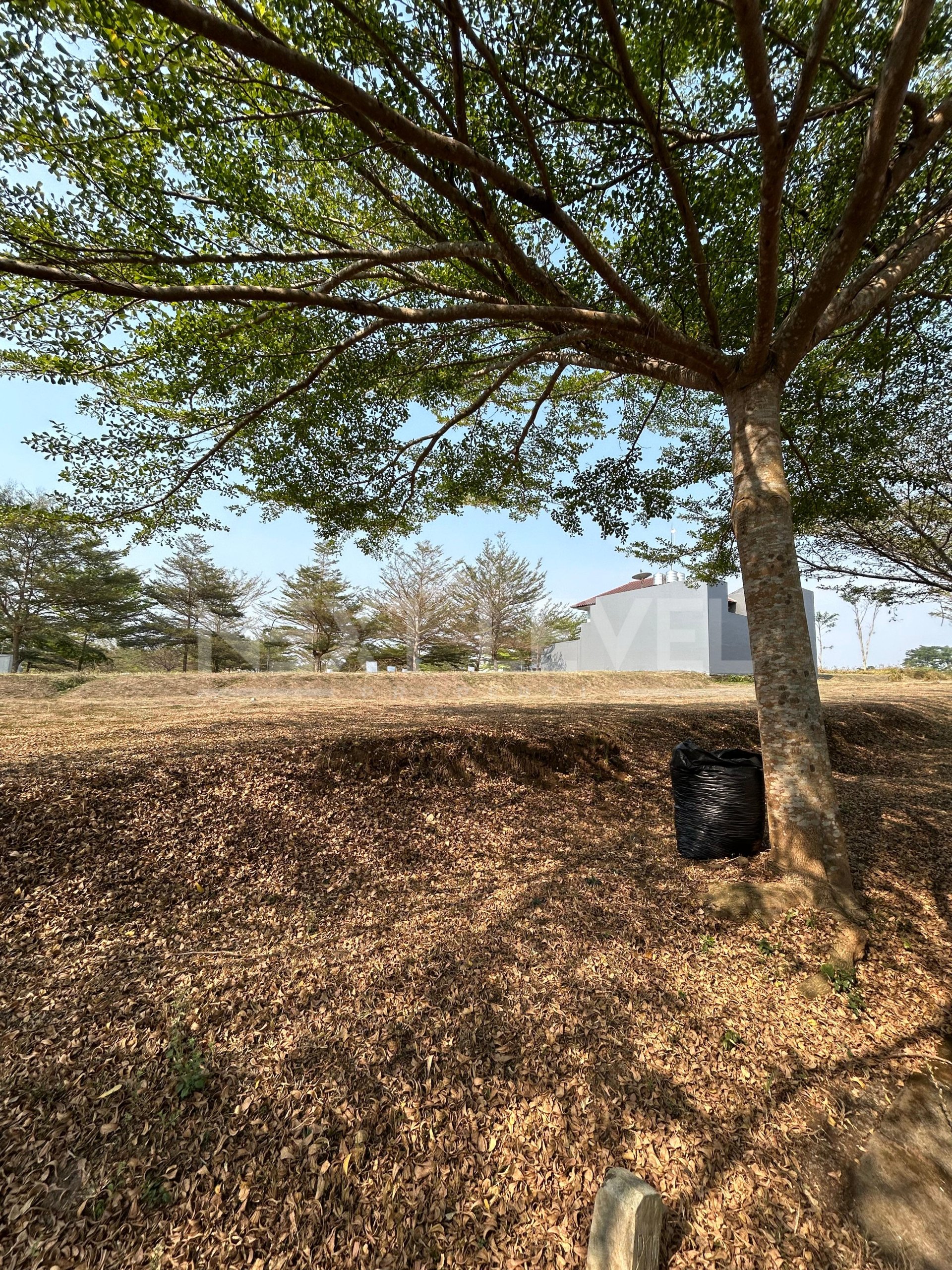 Tanah Dijual The Araya Malang Cluster Palm Valley