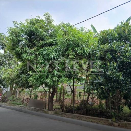 Dijual Kavling 800m2 di Sunter