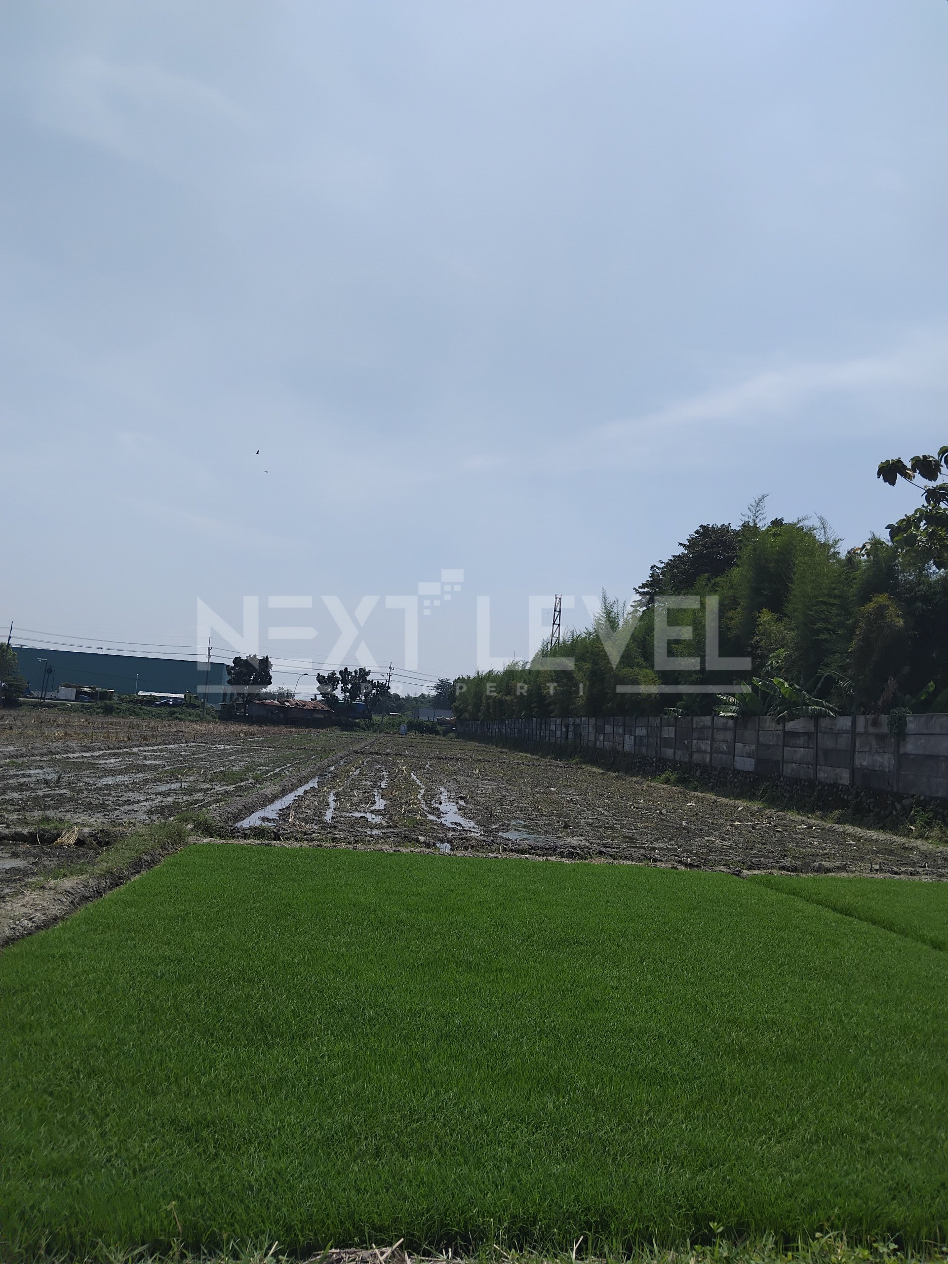 Jual Tanah 0 Jalan Nasional Mojokerto-Jombang