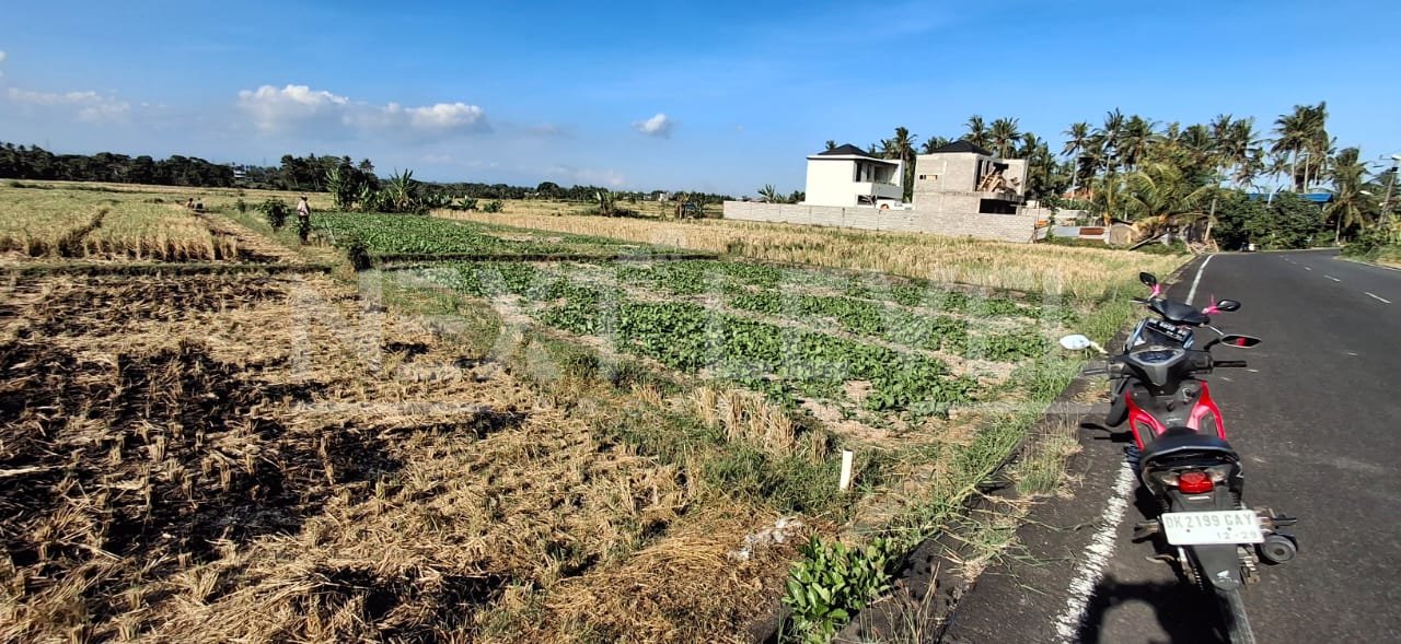 Dijual Tanah sebelah villa Ciputra Beach Resort- Kedungu, Tabanan ( Land For Sale at prime location )