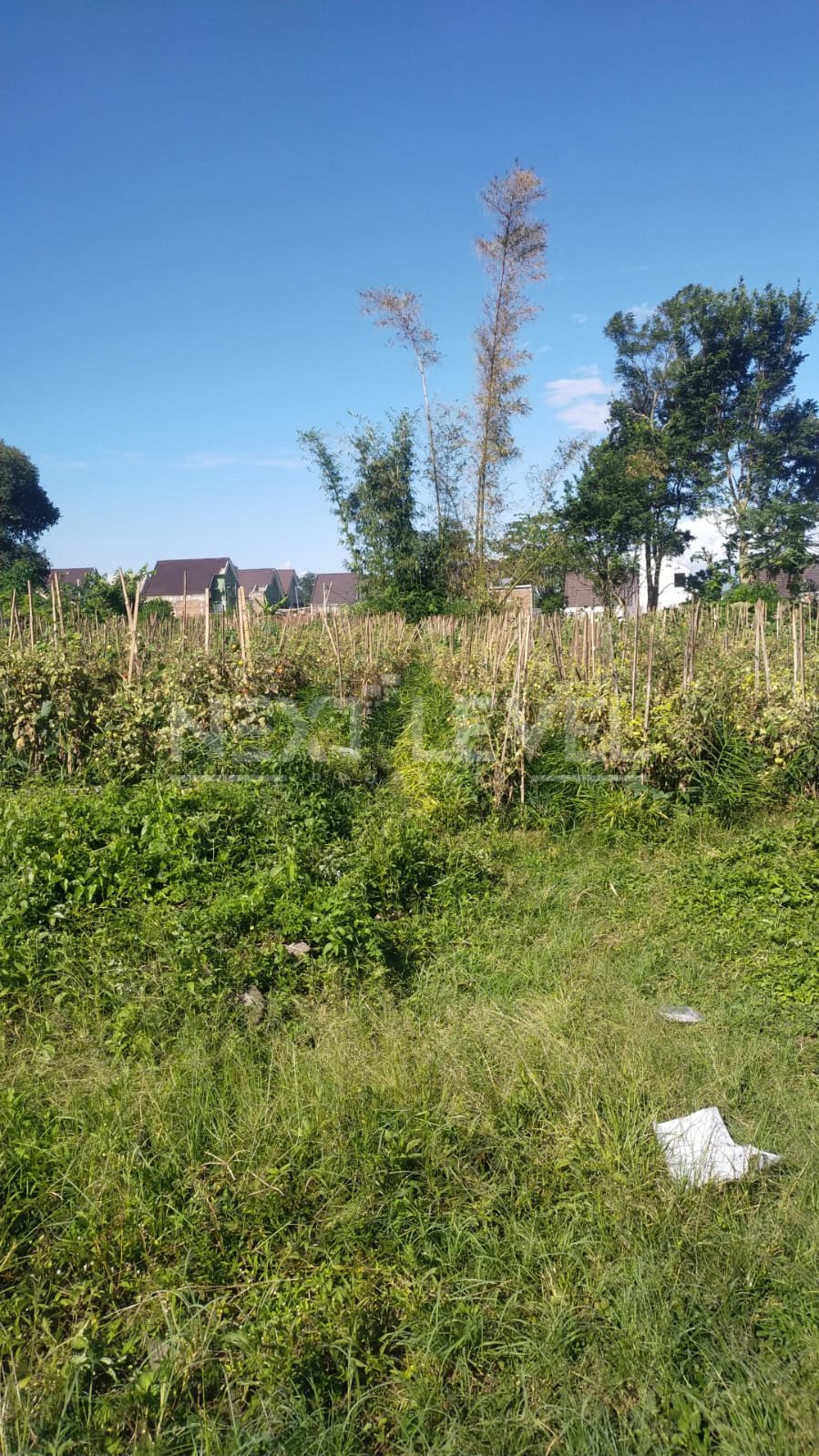Tanah luas di kawasan Bocek, Karangploso – Malang.NLMLG00002