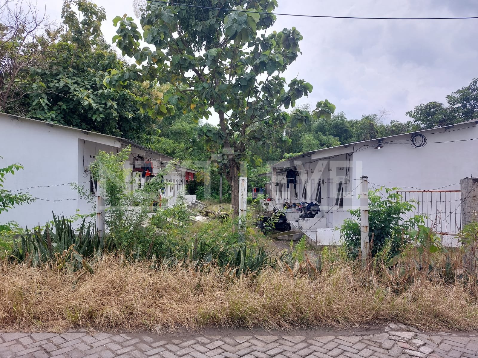 Dijual MURAH Tanah Komersial Driyorejo Gresik