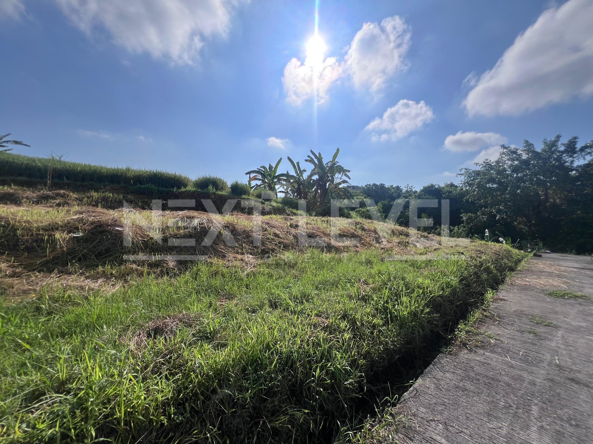 Land For Lease (Yellow Zone)