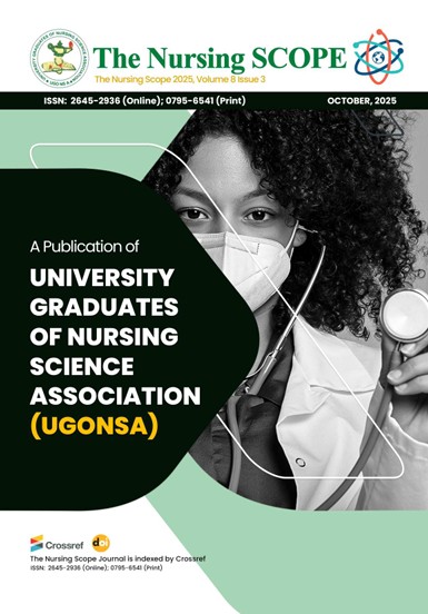 Digitalization of Nursing Education in Nigeria: Implications for Practice