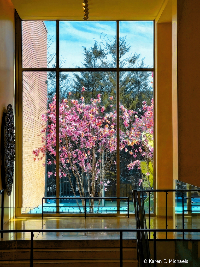 observing early spring