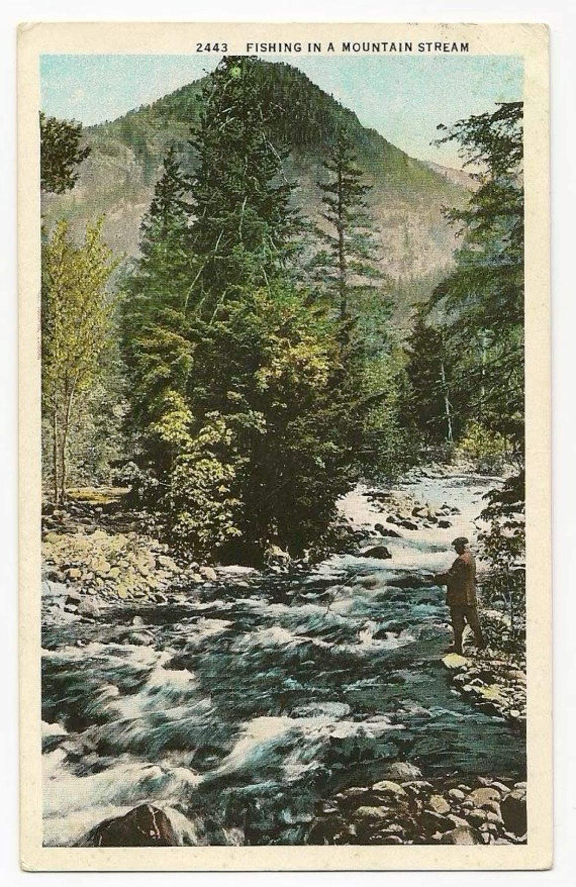 Vintage Mountain River Postcard Post …